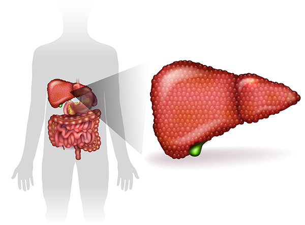 Acute Liver Failure Treatment in Bannerghatta